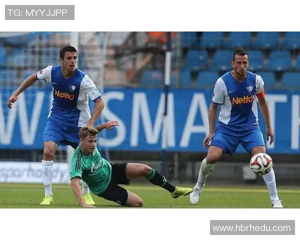 汉堡对波鸿比赛结果分析及比分预测探讨